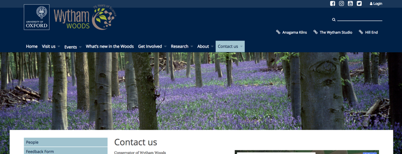 bg image wytham woods